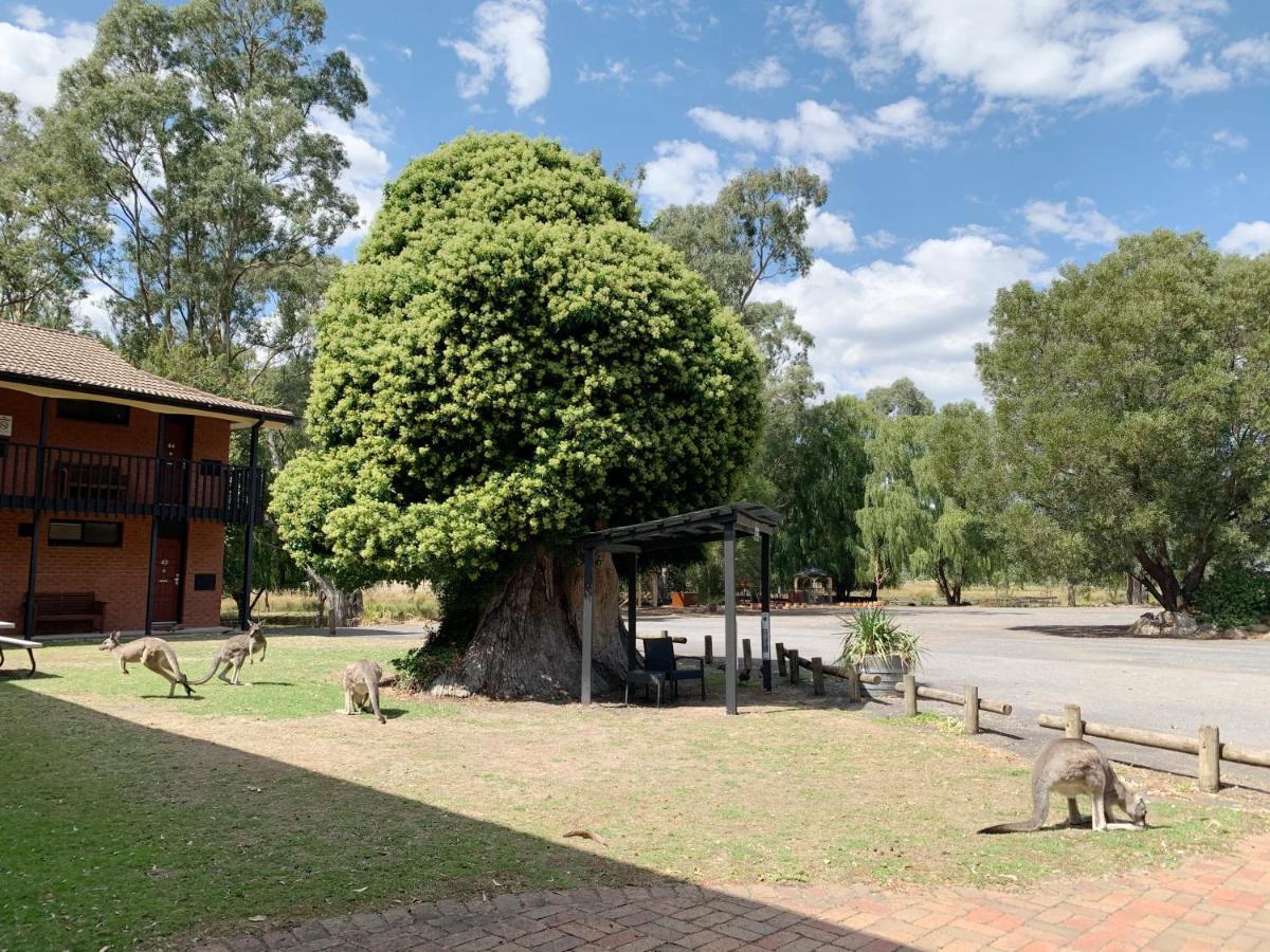 Country Plaza Halls Gap Exterior photo
