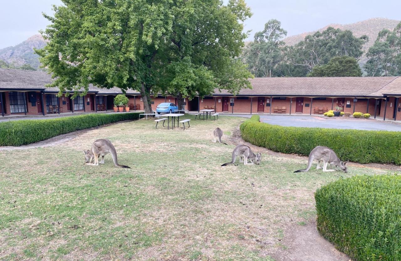 Country Plaza Halls Gap Exterior photo