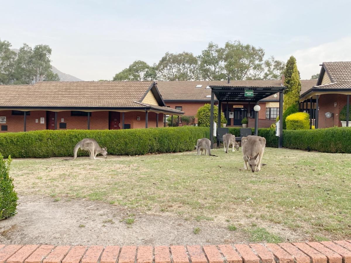 Country Plaza Halls Gap Exterior photo